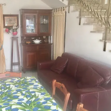 House Проживание в семье