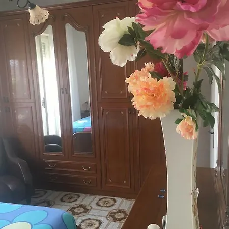Проживание в семье House Торре-Лапилло